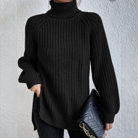 Women's Solid Knit Turtleneck Jumper