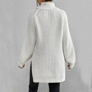 Women's Solid Knit Turtleneck Jumper