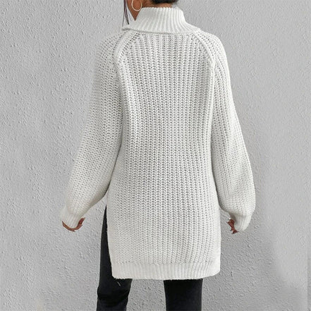 Women's Solid Knit Turtleneck Jumper