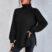 Women's Solid Knit Turtleneck Jumper