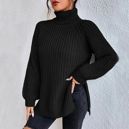 Women's Solid Knit Turtleneck Jumper