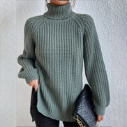 Women's Solid Knit Turtleneck Jumper