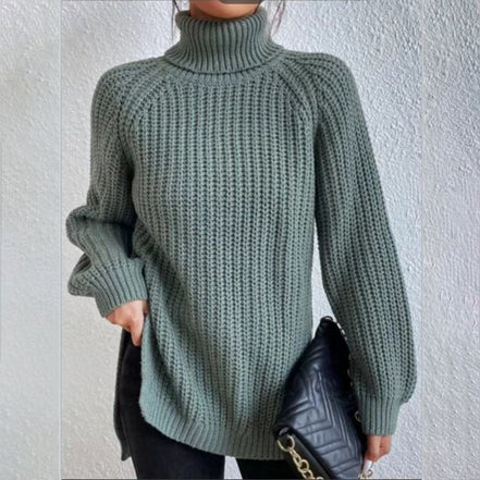 Women's Solid Knit Turtleneck Jumper
