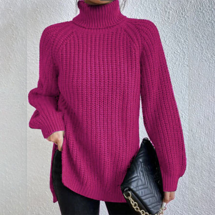 Women's Solid Knit Turtleneck Jumper