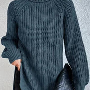 Women's Solid Knit Turtleneck Jumper