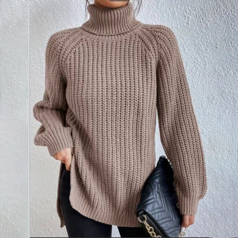 Women's Solid Knit Turtleneck Jumper
